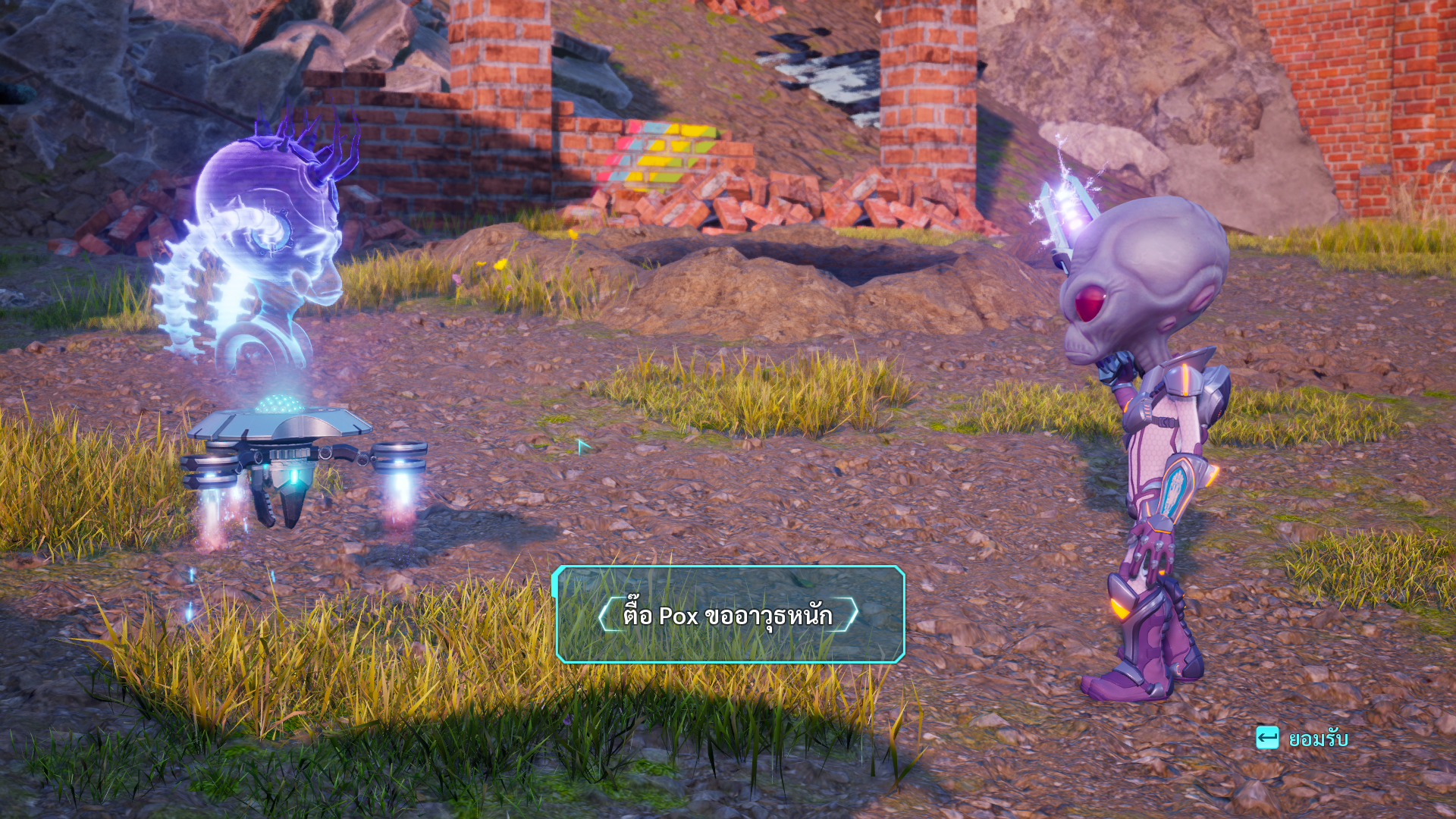 Image Thumbnail 2